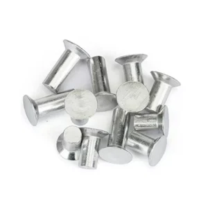GB1011 Truss Head Rivets | High Strength Riveting for Sheet Metal & Structural Assemblies