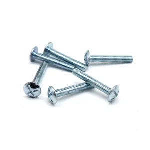 Galvanized Roofing Screws & Roofing Bolts – Durable Fasteners for Secure Roof Installations