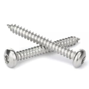 JIS B1128 (P) Hexalobular Socket Pan Head Self-Tapping Screws – Precision Fasteners for Secure Metal and Plastic Applications