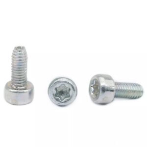 DIN 7500 (OE) Hexalobular Socket Cheese Head Thread Rolling Screws